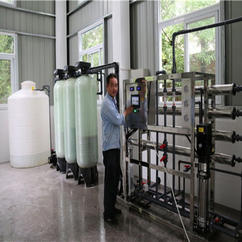 巢湖2噸二級(jí)反滲透純水機(jī) 計(jì)算機(jī)科技中的河水凈化與離子去除解決方案